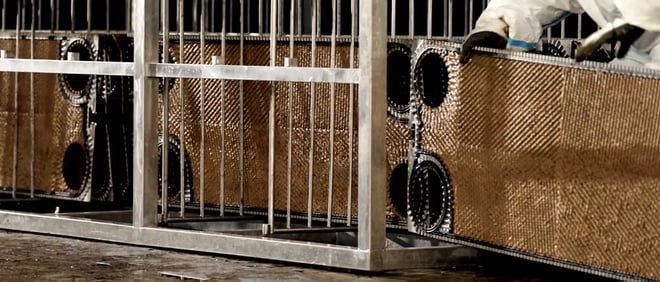 Direkt-Service-Solution