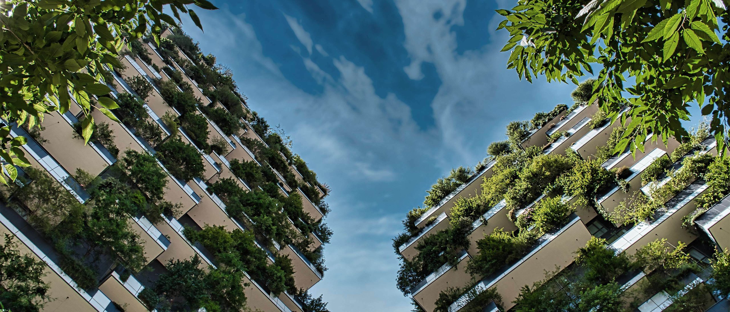 Green city - modern highrises